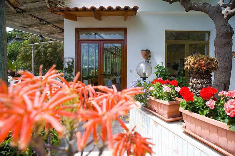 Sant'Angelo  Hotel Villa Franz מראה חיצוני תמונה